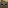 Husk Head