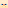 Persian Cat Head