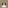 Salt and Pepper Rabbit Head