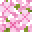 Hojas de cerezo